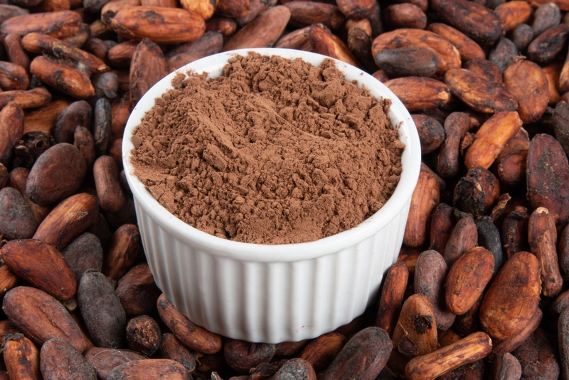PASTINO: The Best Cocoa Powder Manufacturer in Türkiye