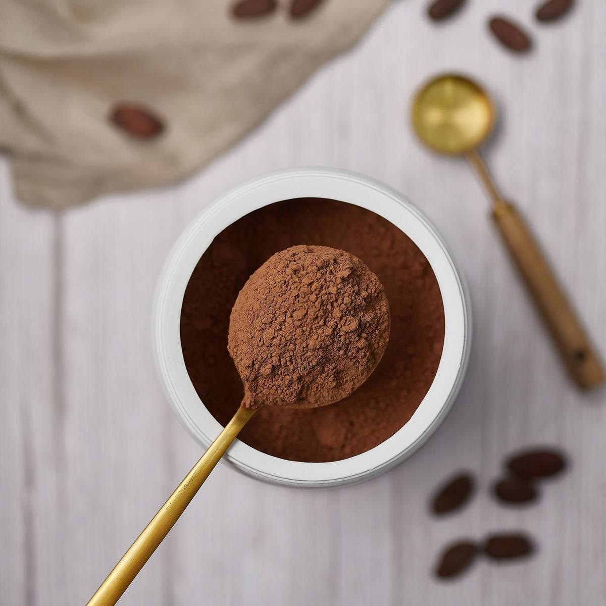 Alkalized cocoa powder supplier in Libya