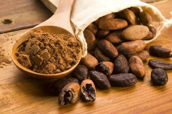 Cocoa powder supplier in Sudan
