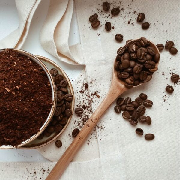 How Latamarko Supports Global Food Innovators How Latamarko Supports Global Food Innovators