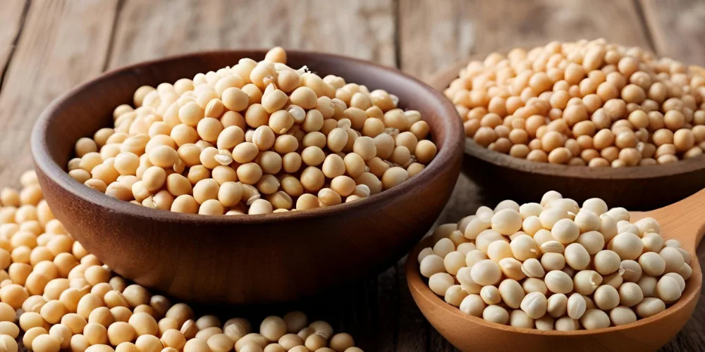 Lecithin supplier in Sudan