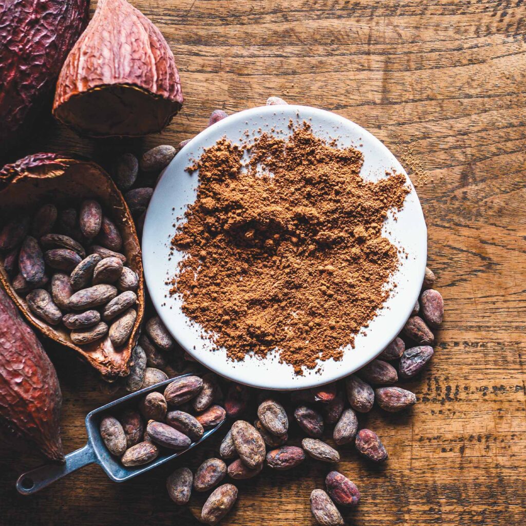Natural cocoa powder supplier in Algeria