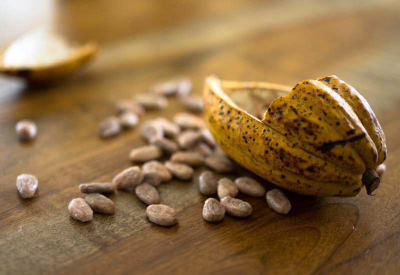 Natural cocoa powder supplier in Algeria