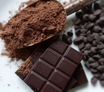 PASTINO Cocoa Powders Ranked Among the Best in Türkiye
