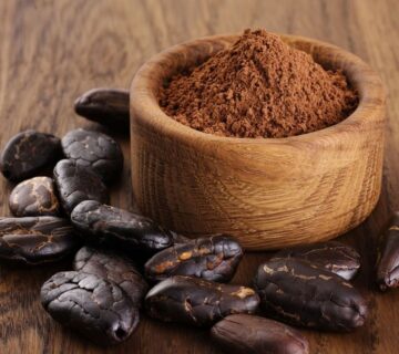 Pastino Alkalized Cocoa Powder Factory in Türkiye