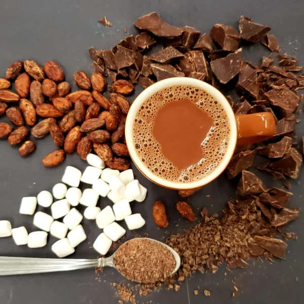 Pastino Alkalized Cocoa for Instant Hot Chocolate Mix Pastino Alkalized Cocoa for Instant Hot Chocolate Mix