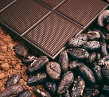 Pastino Bulk Cocoa Powder Supplier for Export Markets