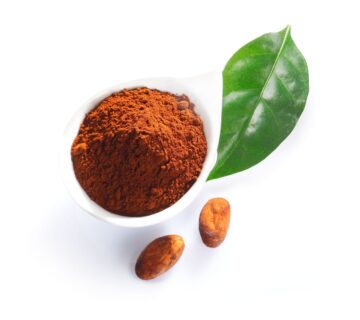 Pastino Cocoa Powder Factory Direct Supply in Türkiye