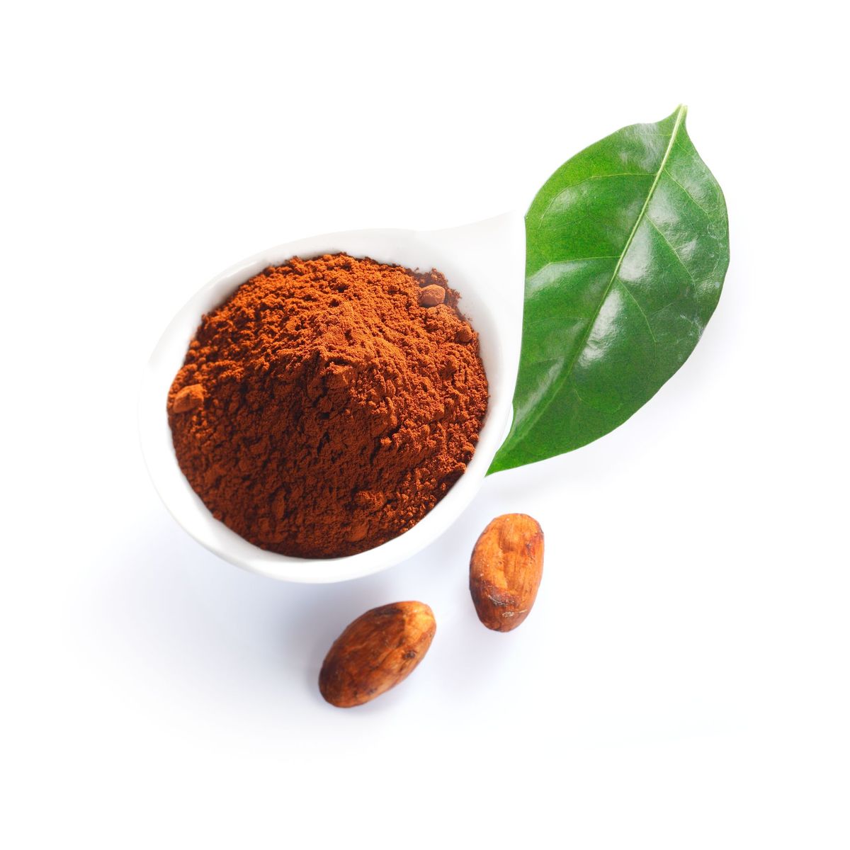 Pastino Cocoa Powder Factory Direct Supply in Türkiye