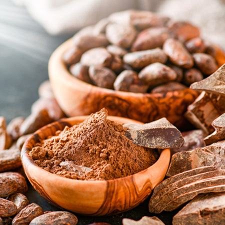Pastino Cocoa Powder Manufacturer for Ice Cream and Dairy Factories