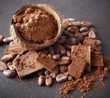 Pastino Cocoa Powder Manufacturer in Türkiye for Global Food Industry Pastino Cocoa Powder Manufacturer in Türkiye for Global Food Industry