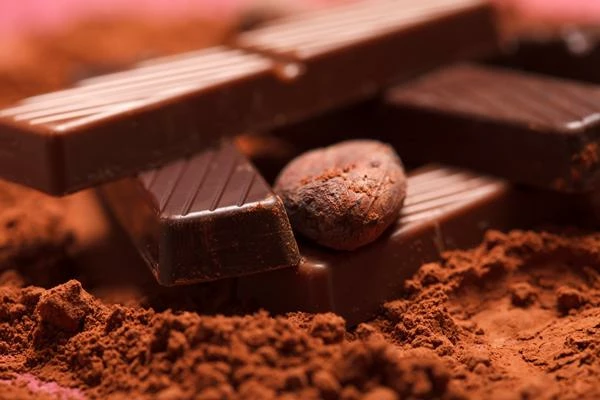 Pastino Cocoa Powder Manufacturer in Türkiye for Global Food Industry