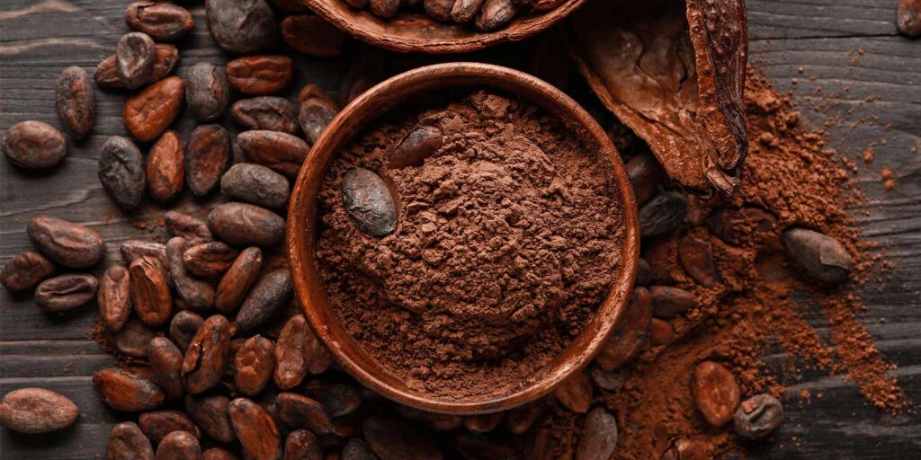 Pastino Cocoa Powder for Energy Bars and Protein Foods