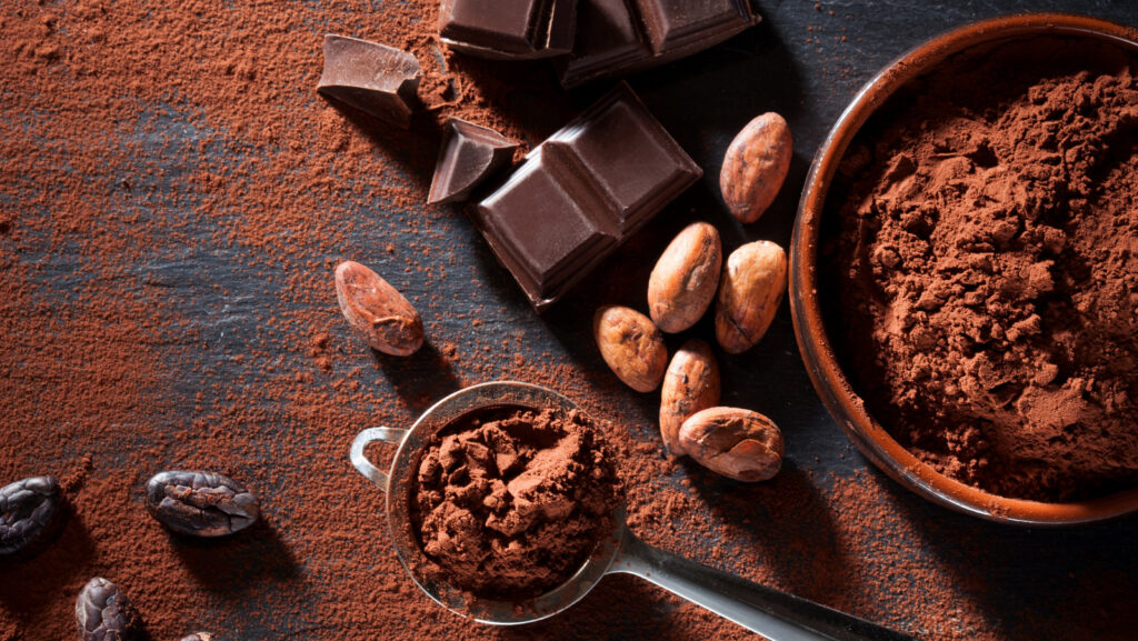 Pastino Cocoa Powder for Global Bulk Supply Programs