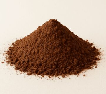 Pastino Cocoa Powder for Ice Cream and Gelato Plants