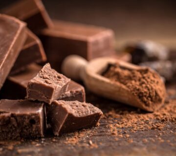 Pastino Dark Cocoa Powder Supplier for Premium Chocolatiers