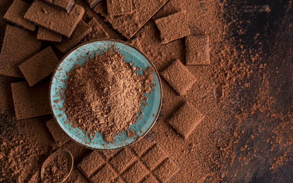 Pastino Food-Grade Cocoa Powder Producer for Large-Scale Production