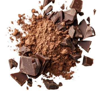 Pastino High-Fat Cocoa for Chocolate-Intense Desserts