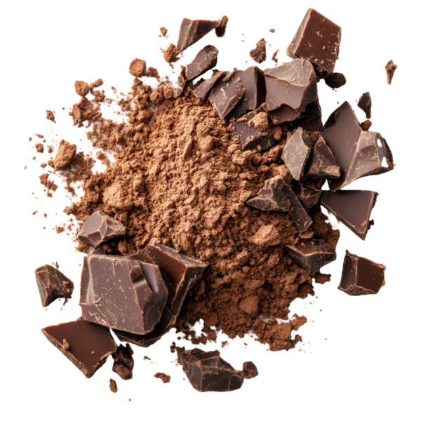 Pastino High-Fat Cocoa for Chocolate-Intense Desserts