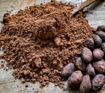 Pastino Industrial Cocoa Powder Supplier for Food Production