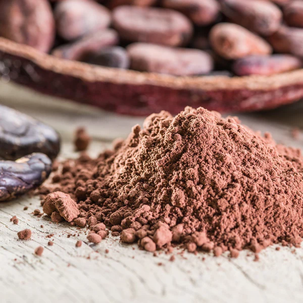 Pastino Natural Cocoa for Pure Chocolate Aroma