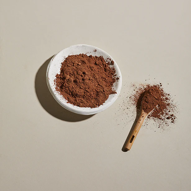 Pastino Reddish Cocoa for Gourmet Cake Producers