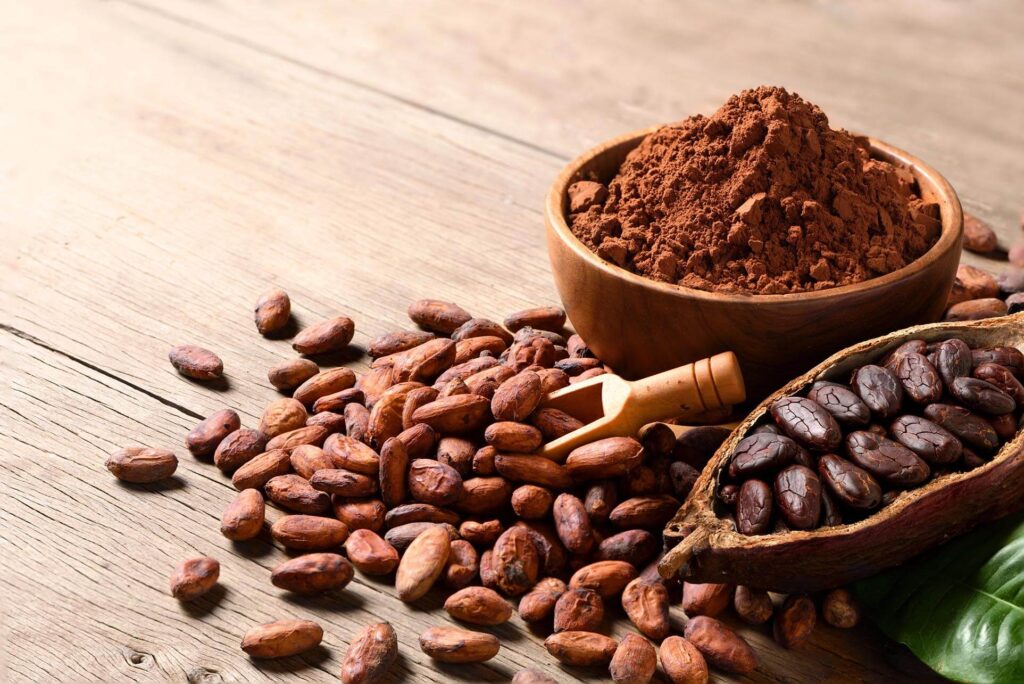 Pastino Reddish Cocoa for Premium Cake Manufacturers
