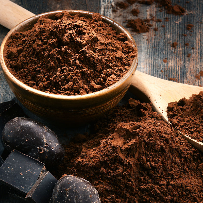 Pastino Turkish Cocoa Powder Supplier for Bakery and Chocolate Plants
