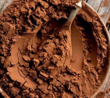 Pastino Turkish Cocoa Powder Supplier for Bakery and Chocolate Plants