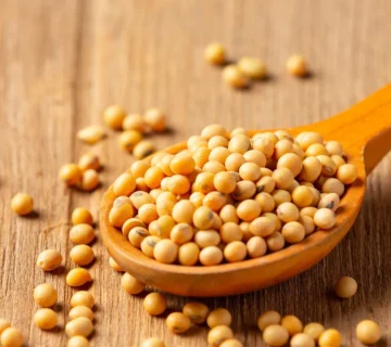 Soy lecithin supplier in Lebanon
