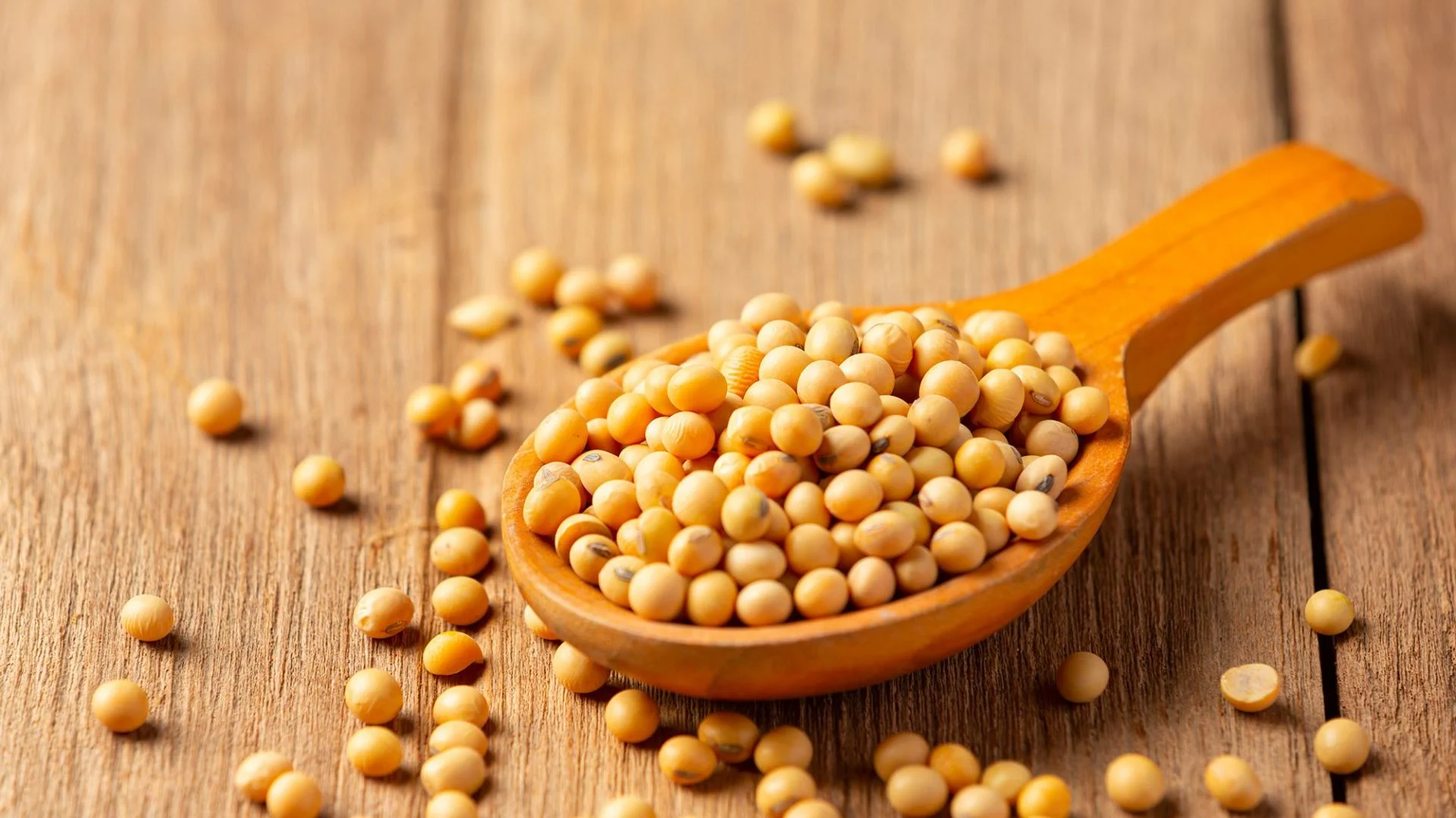 Soy lecithin supplier in Lebanon