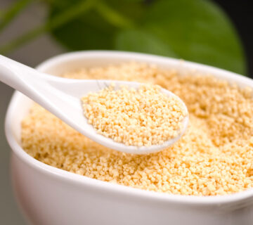 Soy lecithin supplier in Libya