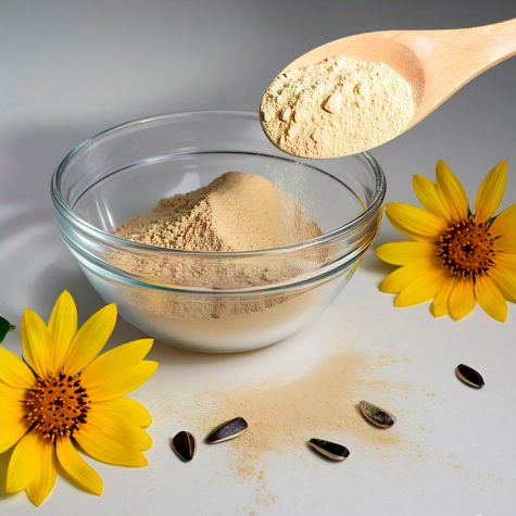 Sunflower lecithin supplier in Algeria