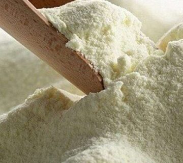 Whole milk powder supplier in Egypt