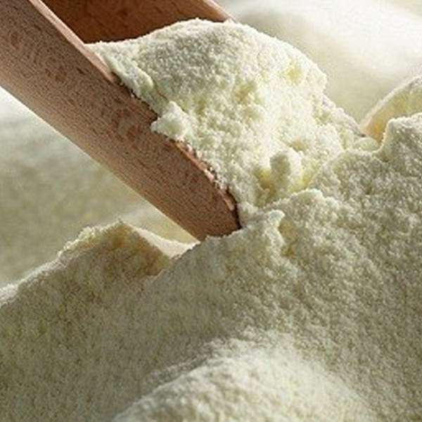 Whole milk powder supplier in Egypt