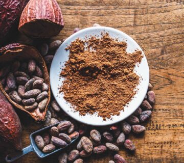 Cocoa powder supplier in Algeria