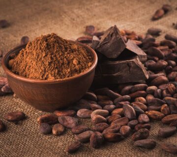 PASTINO: The Best Cocoa Powder Manufacturer in Türkiye