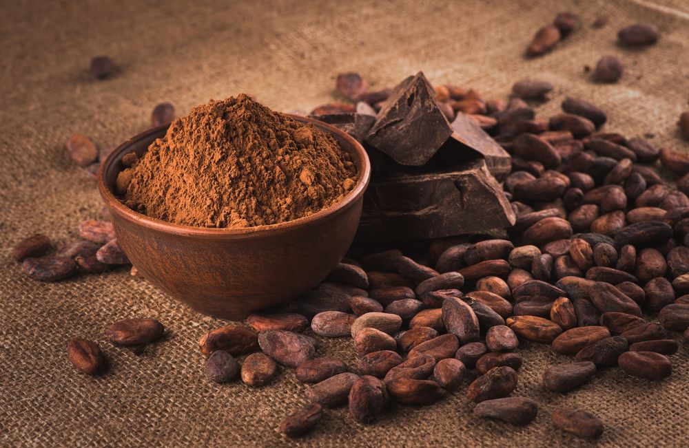 PASTINO: The Best Cocoa Powder Manufacturer in Türkiye