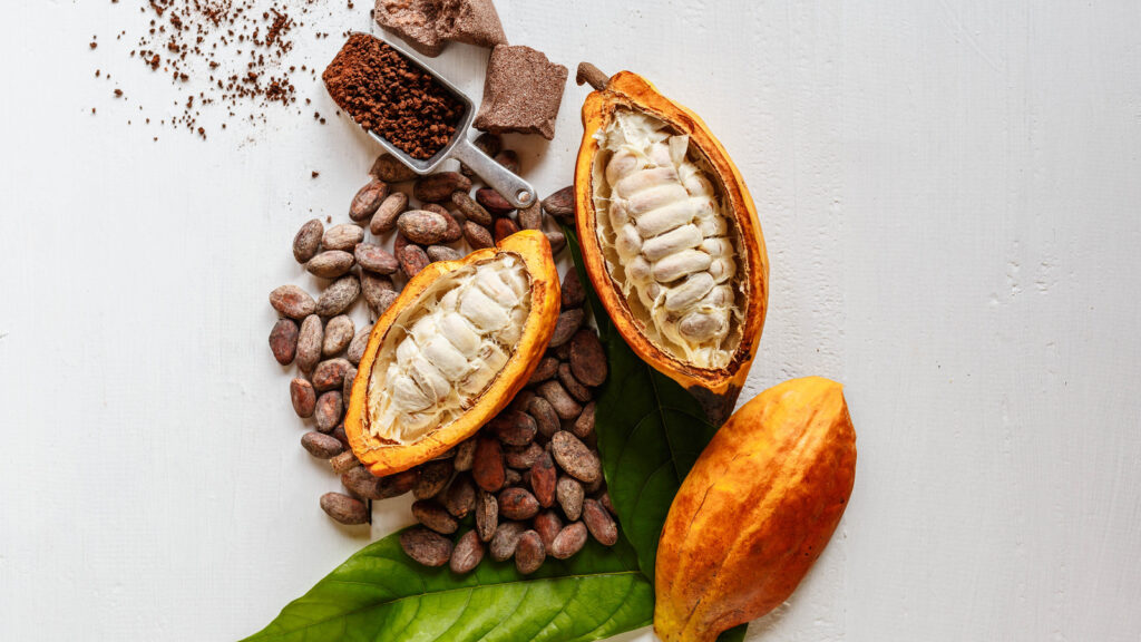 What Is the “Dutch Process” in Cocoa Manufacturing?