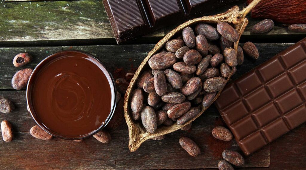 Chocolate Flavor Development: From Bean to Bar
