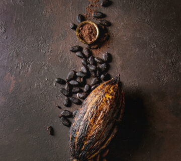 pH Control and Alkalization in Cocoa Ingredients