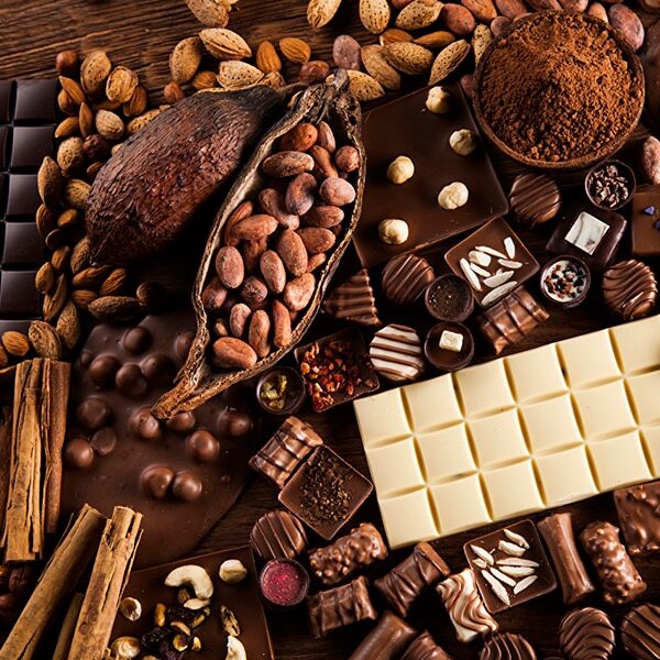 Cocoa Liquor for Chocolate Manufacturing Egypt
