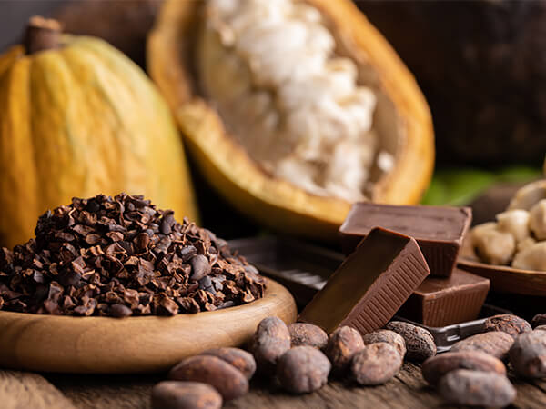 Cocoa liquor supplier in Sudan