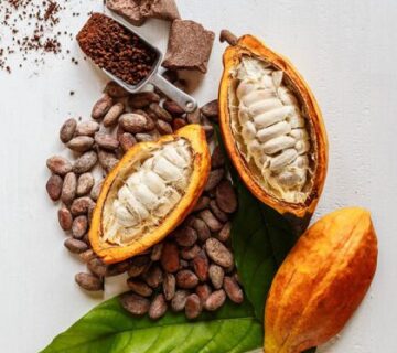 Cocoa powder supplier in dubai sharjah