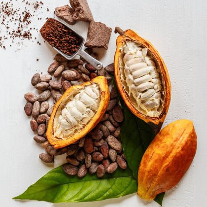 Cocoa powder supplier in dubai sharjah