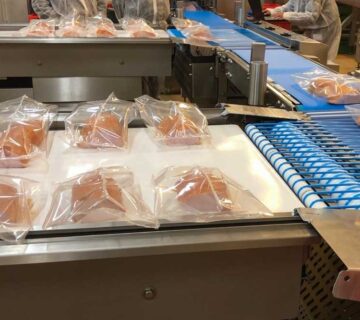 European Supplier Germany Food Industry