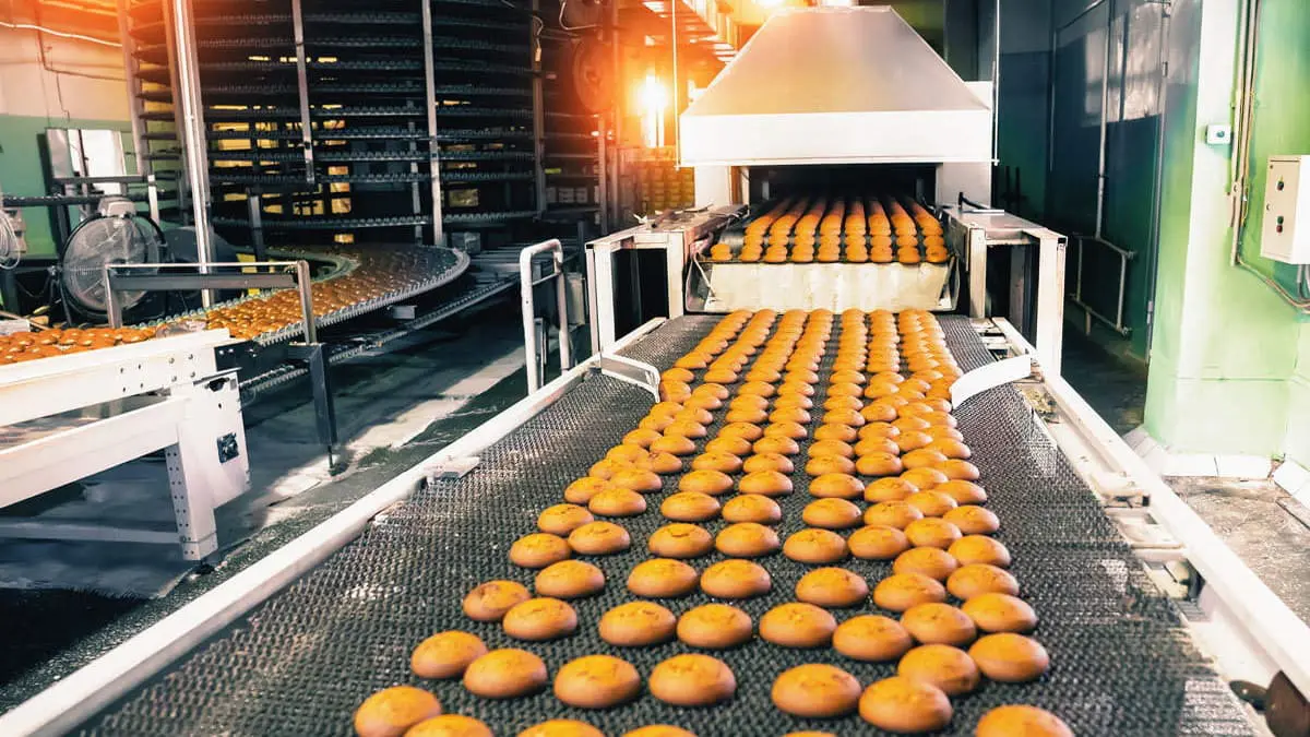 Food Factory Raw Materials Germany