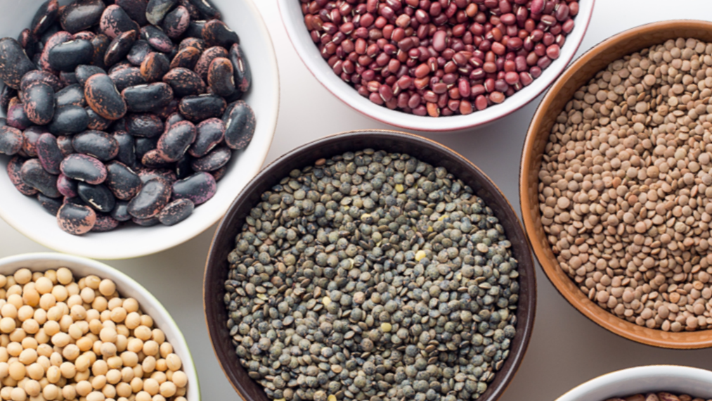 Long Term Supplier Germany Food Industry