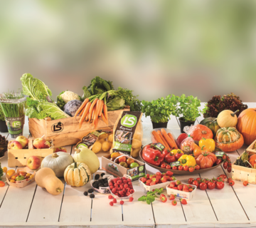 Wholesale Food Ingredients Germany