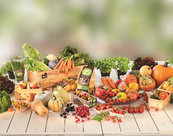 Wholesale Food Ingredients Germany Wholesale Food Ingredients Germany